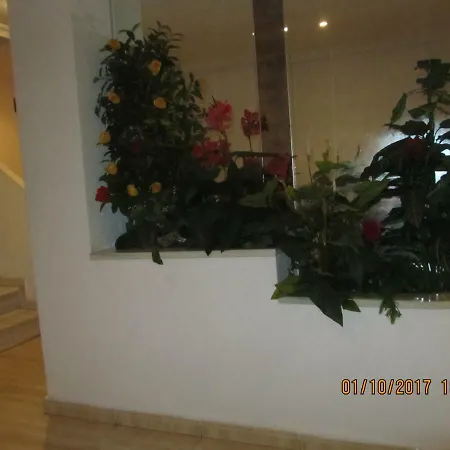 Locos San Pascual Torrevieja