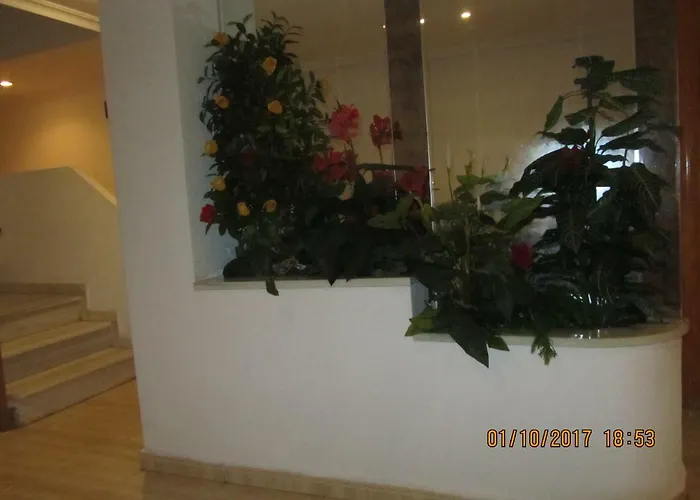 Locos San Pascual Torrevieja